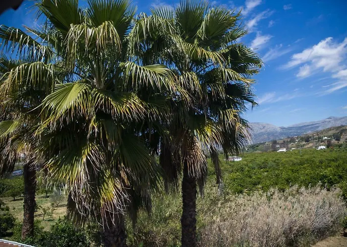 Bed & Breakfast Fuegoblanco